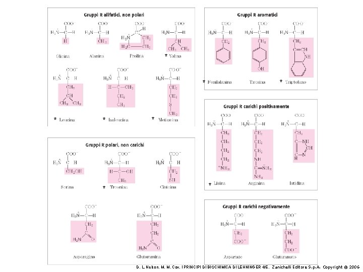 * * * * D. L. Nelson, M. M. Cox, I PRINCIPI DI BIOCHIMICA