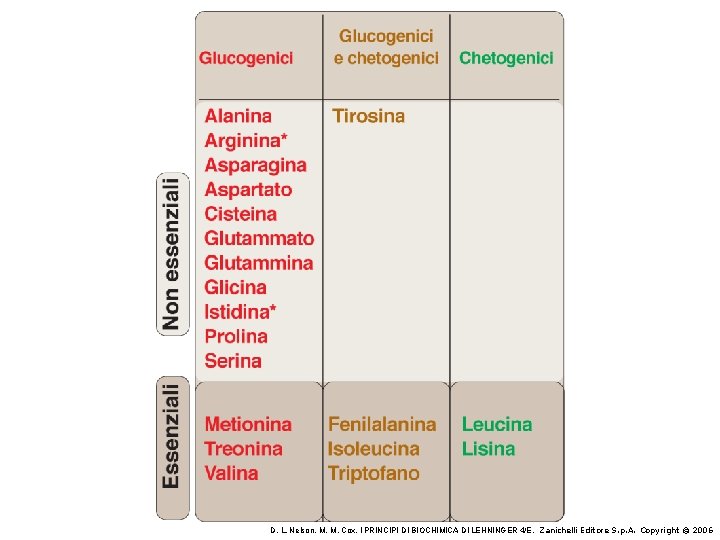 D. L. Nelson, M. M. Cox, I PRINCIPI DI BIOCHIMICA DI LEHNINGER 4/E, Zanichelli