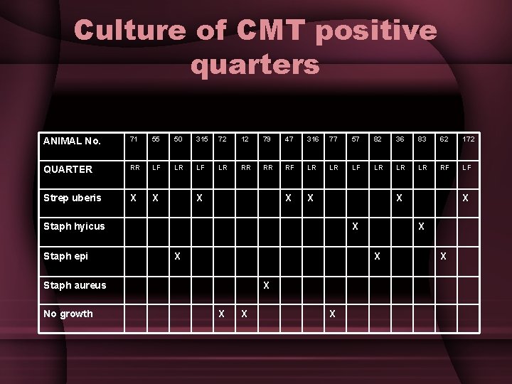 Culture of CMT positive quarters ANIMAL No. 71 55 50 315 72 12 79