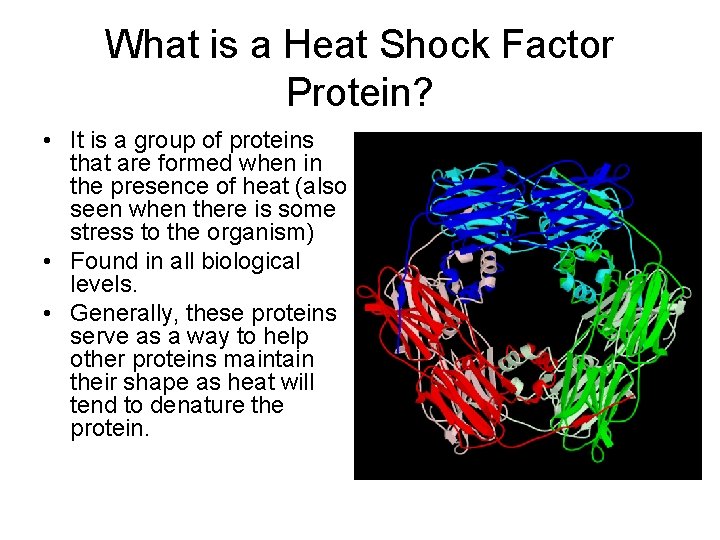 What is a Heat Shock Factor Protein? • It is a group of proteins