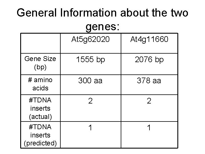 General Information about the two genes: At 5 g 62020 At 4 g 11660