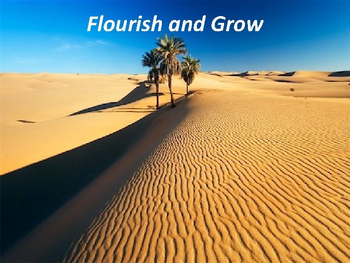 flourish-and-grow-psalm-92-12-15-rsv