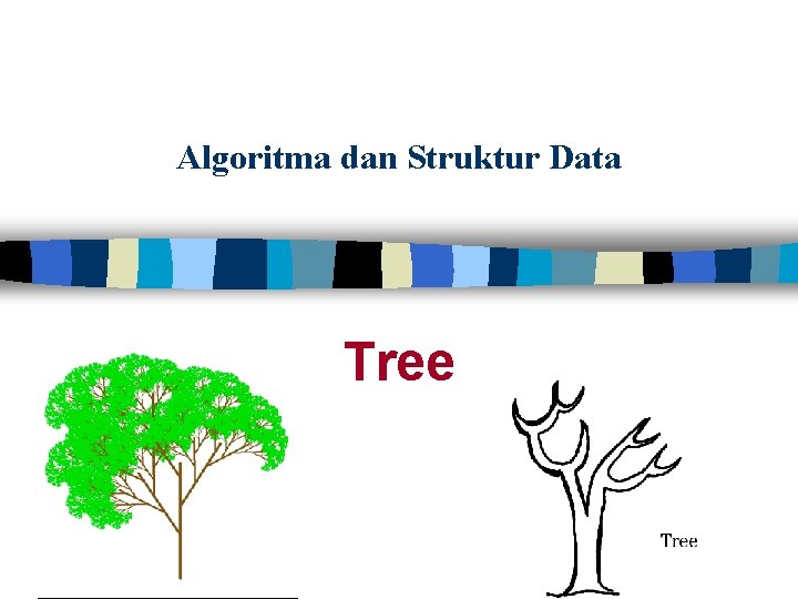 Algoritma dan Struktur Data Tree 