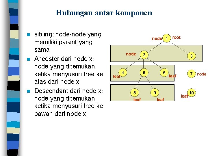 Hubungan antar komponen sibling：node-node yang memiliki parent yang sama n Ancestor dari node x：