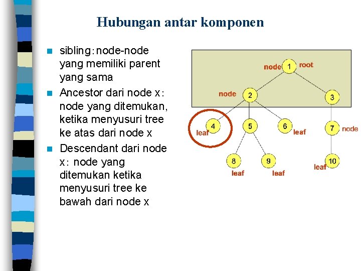 Hubungan antar komponen sibling：node-node yang memiliki parent yang sama n Ancestor dari node x：