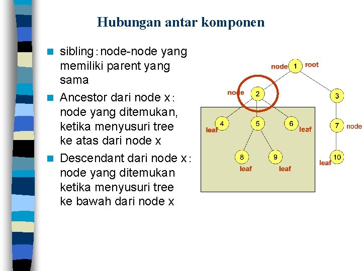 Hubungan antar komponen sibling：node-node yang memiliki parent yang sama n Ancestor dari node x：