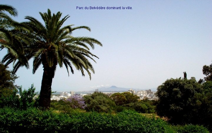 Parc du Belvédère dominant la ville. 