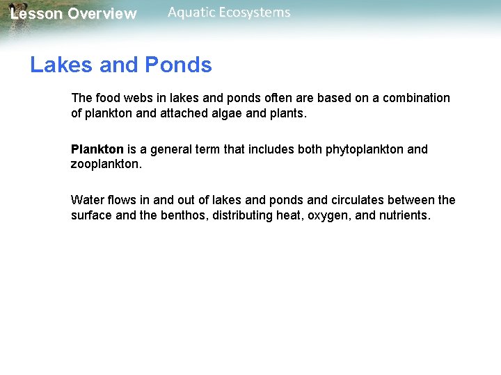 Lesson Overview Aquatic Ecosystems Lakes and Ponds The food webs in lakes and ponds