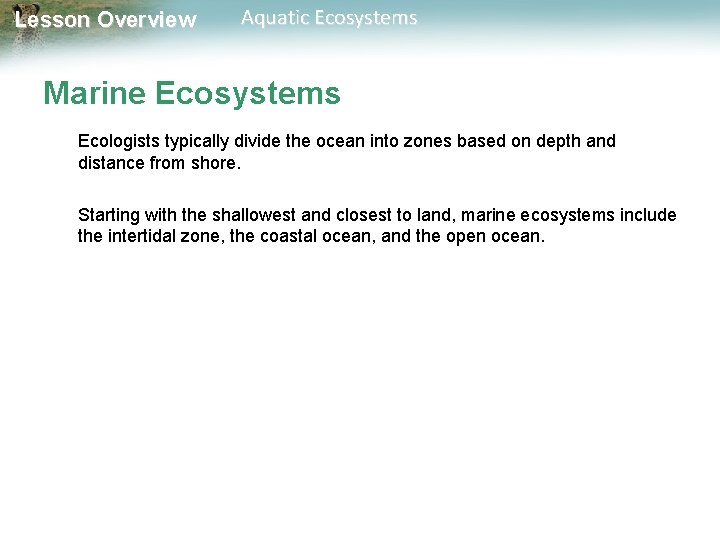 Lesson Overview Aquatic Ecosystems Marine Ecosystems Ecologists typically divide the ocean into zones based