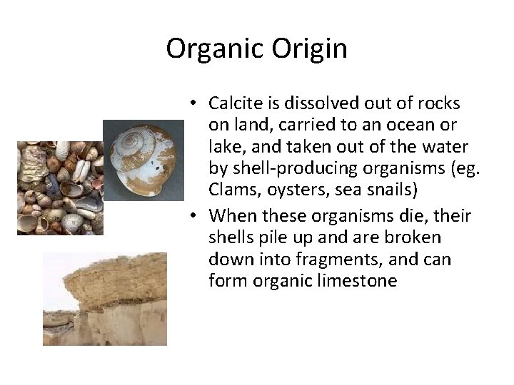 Organic Origin • Calcite is dissolved out of rocks on land, carried to an Organic Origin • Calcite is dissolved out of rocks on land, carried to an