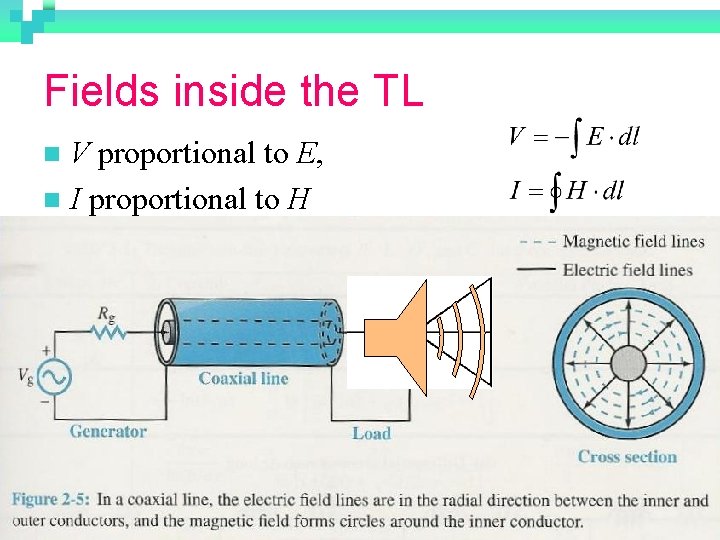 Fields inside the TL V proportional to E, n I proportional to H n