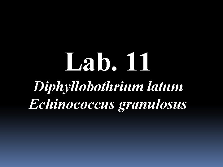 Lab. 11 Diphyllobothrium latum Echinococcus granulosus 