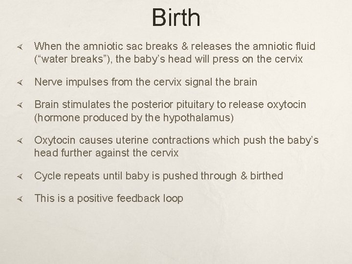 Birth When the amniotic sac breaks & releases the amniotic fluid (“water breaks”), the