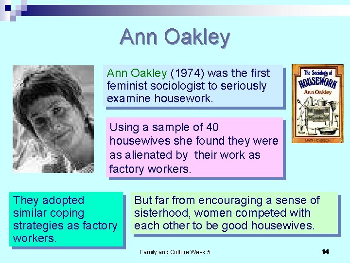 Ann Oakley (1974) was the first feminist sociologist to seriously examine housework. Using a