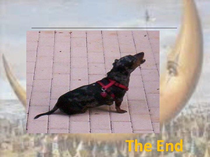 The End 