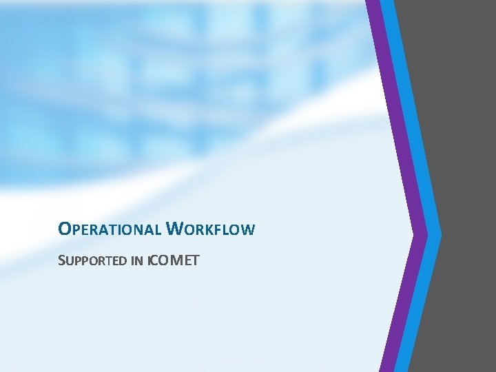 OPERATIONAL WORKFLOW SUPPORTED IN ICOMET 