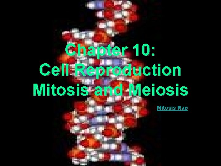 Chapter 10: Cell Reproduction Mitosis and Meiosis Mitosis Rap 