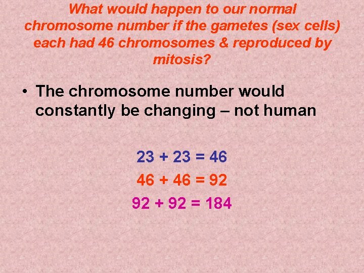 What would happen to our normal chromosome number if the gametes (sex cells) each