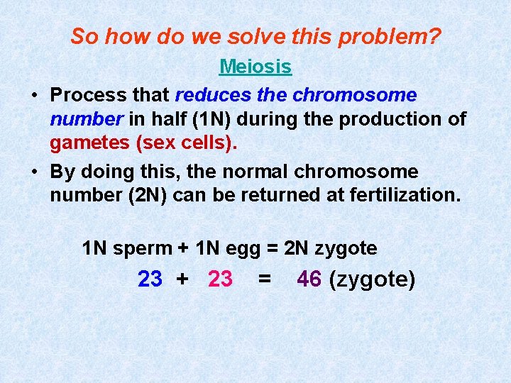 So how do we solve this problem? Meiosis • Process that reduces the chromosome