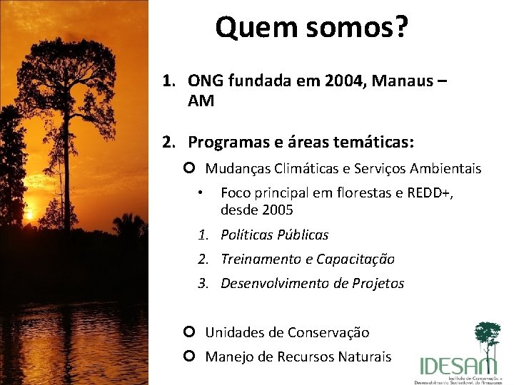 Quem somos? 1. ONG fundada em 2004, Manaus – AM 2. Programas e áreas