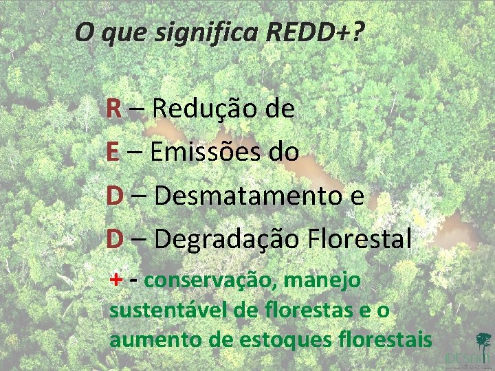 O que significa REDD+? R – Redução de E – Emissões do D –