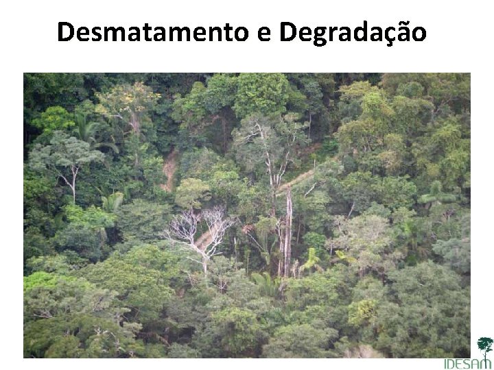 Desmatamento e Degradação convertida não florestal • Degradação: Área florestalárea florestalem queárea permanece como