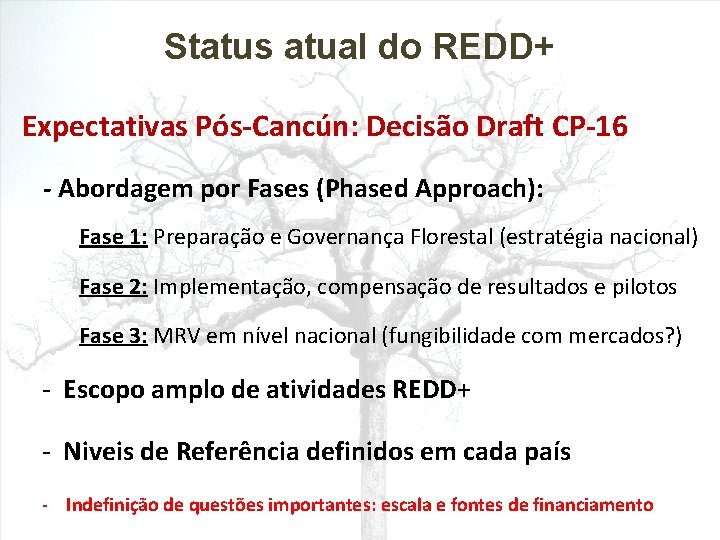 Status atual do REDD+ Expectativas Pós-Cancún: Decisão Draft CP-16 - Abordagem por Fases (Phased