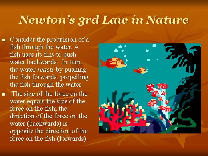 Newton’s 3 rd Law in Nature n n Consider the propulsion of a fish