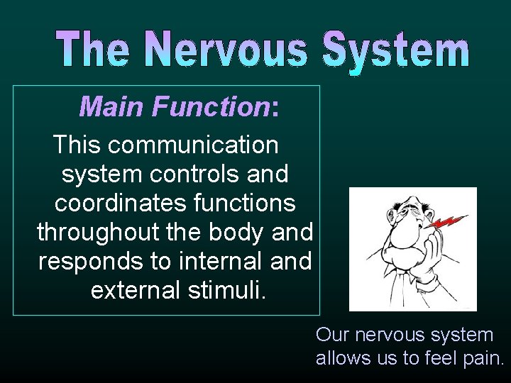 Main Function: This communication system controls and coordinates functions throughout the body and responds Main Function: This communication system controls and coordinates functions throughout the body and responds