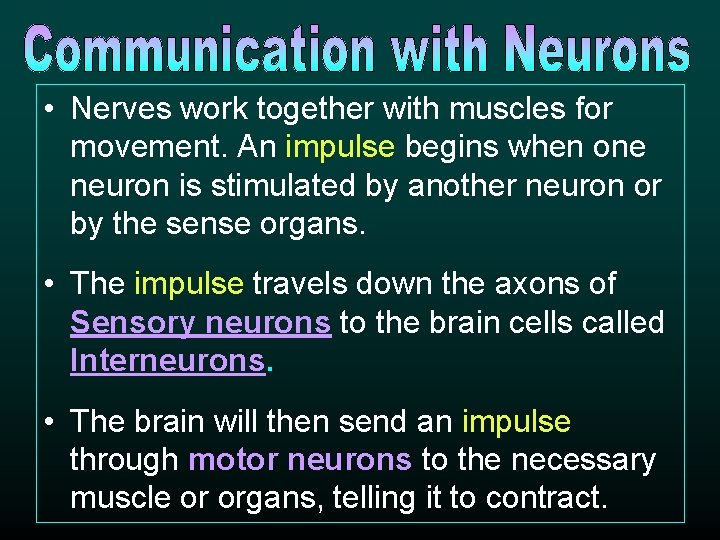 • Nerves work together with muscles for movement. An impulse begins when one • Nerves work together with muscles for movement. An impulse begins when one