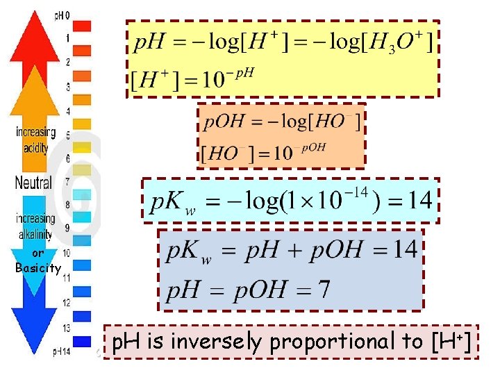 or Basicity p. H is inversely proportional to [H+] 