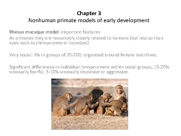 Chapter 3 Nonhuman primate models of early development Rhesus macaque model: important features As