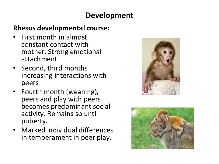 Development Rhesus developmental course: • First month in almost constant contact with mother. Strong