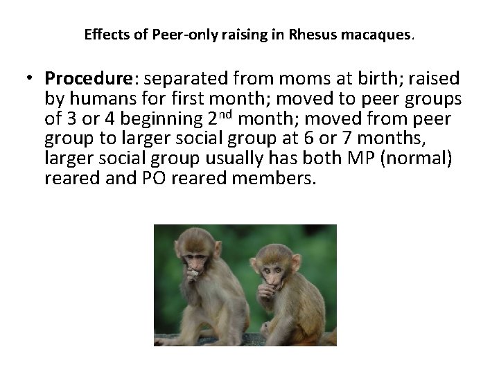 Effects of Peer-only raising in Rhesus macaques. • Procedure: separated from moms at birth;