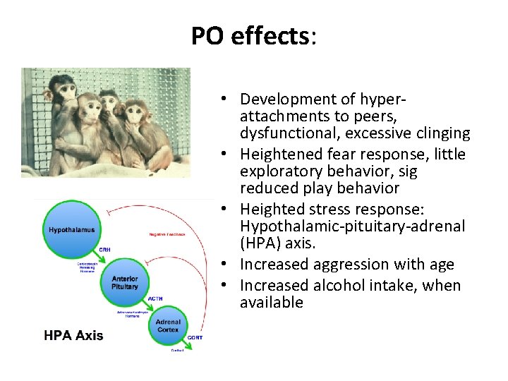 PO effects: • Development of hyperattachments to peers, dysfunctional, excessive clinging • Heightened fear