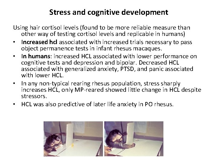 Stress and cognitive development Using hair cortisol levels (found to be more reliable measure