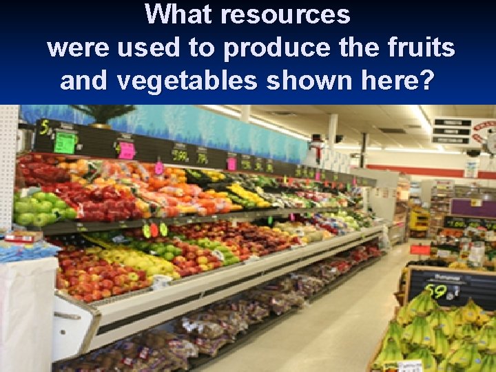 What resources were used to produce the fruits and vegetables shown here? 