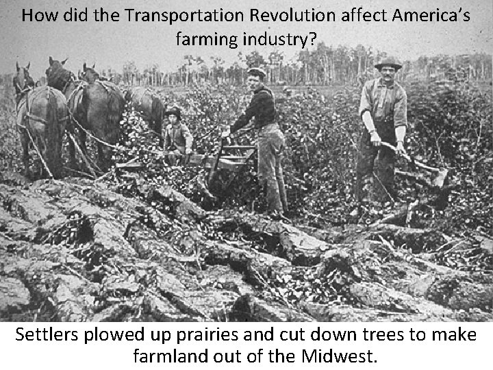How did the Transportation Revolution affect America’s farming industry? Settlers plowed up prairies and