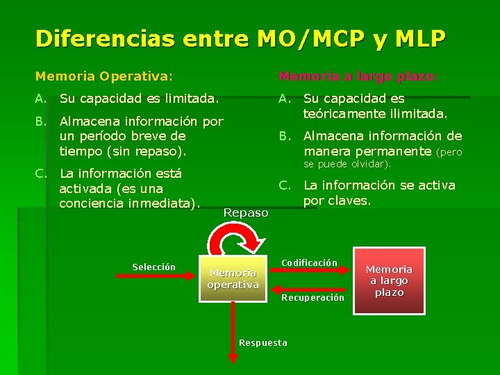 Diferencias entre MO/MCP y MLP Memoria Operativa: Operativa Memoria a largo plazo: plazo A.