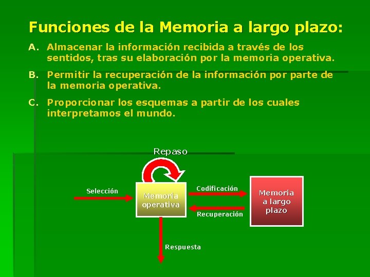 Funciones de la Memoria a largo plazo: plazo A. Almacenar la información recibida a