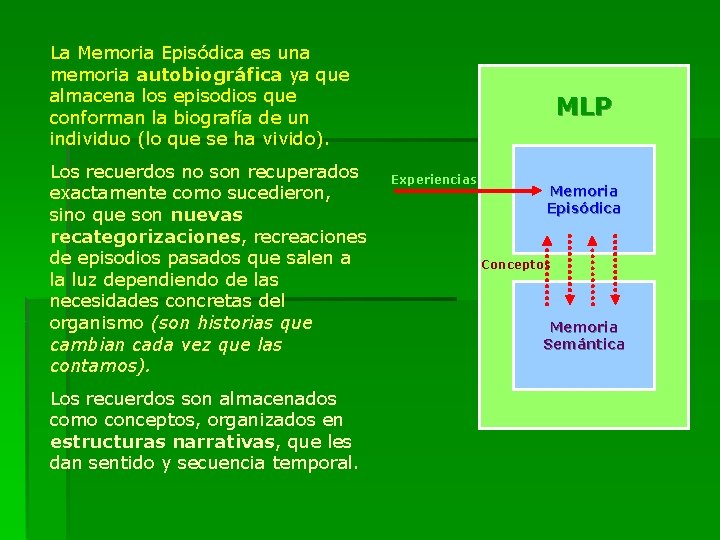 La Memoria Episódica es una memoria autobiográfica ya que almacena los episodios que conforman