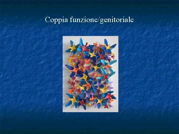 Coppia funzione/genitoriale 