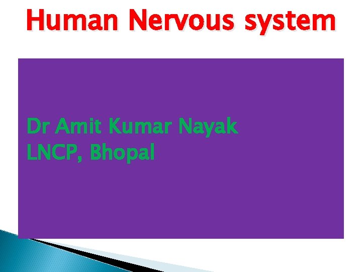 Human Nervous system Dr Amit Kumar Nayak LNCP, Bhopal 