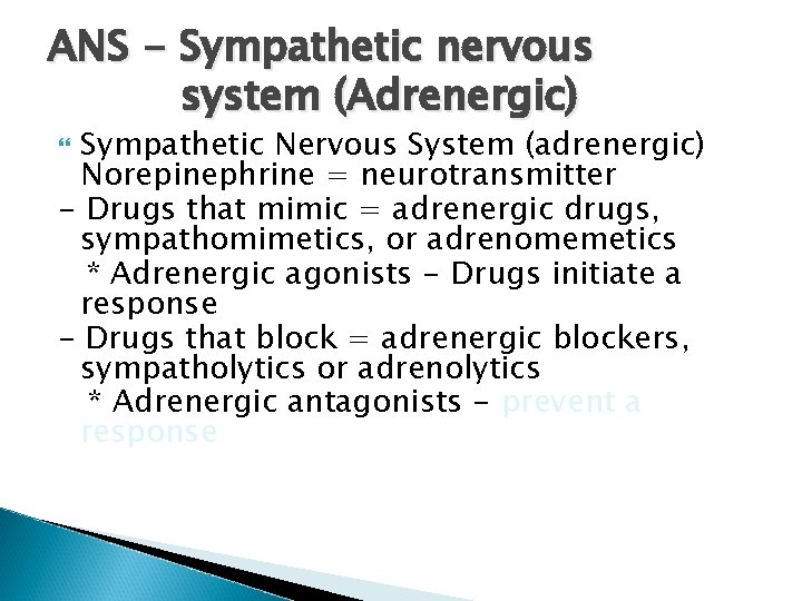 ANS - Sympathetic nervous system (Adrenergic) Sympathetic Nervous System (adrenergic) Norepinephrine = neurotransmitter -