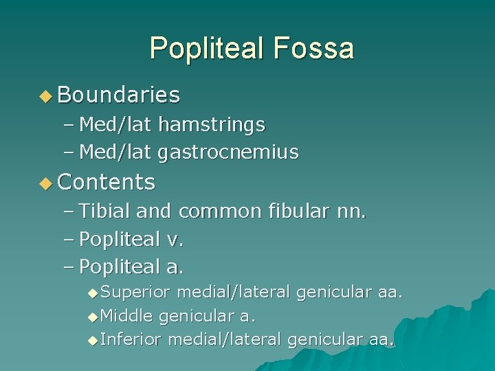 Popliteal Fossa u Boundaries – Med/lat hamstrings – Med/lat gastrocnemius u Contents – Tibial