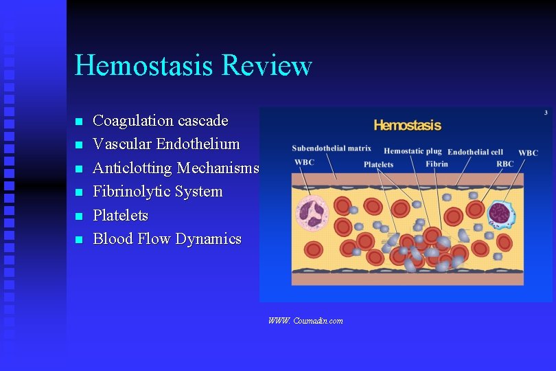 Hemostasis Review n n n Coagulation cascade Vascular Endothelium Anticlotting Mechanisms Fibrinolytic System Platelets