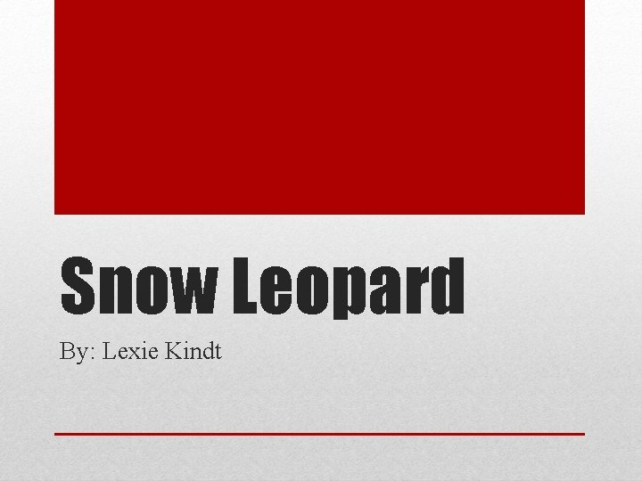 Snow Leopard By: Lexie Kindt 