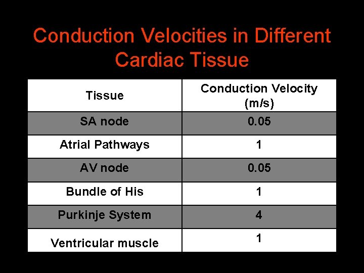 Conduction Velocities in Different Cardiac Tissue Conduction Velocity (m/s) SA node 0. 05 Atrial