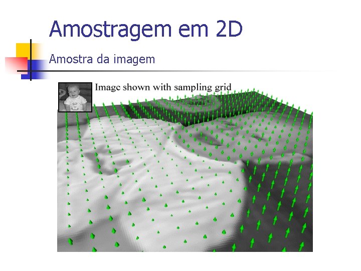 Amostragem em 2 D Amostra da imagem 