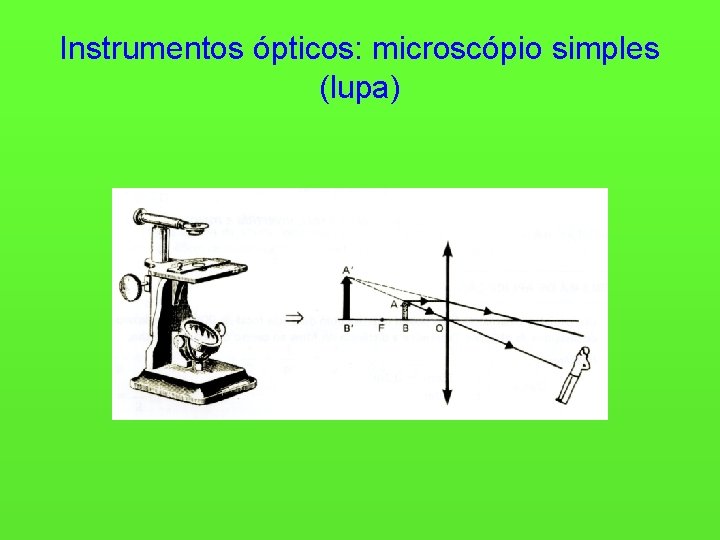 Instrumentos ópticos: microscópio simples (lupa) 